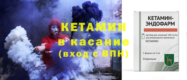 прущие грибы Абаза