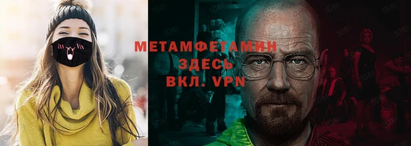 прущие грибы Абаза