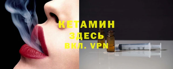 прущие грибы Абаза