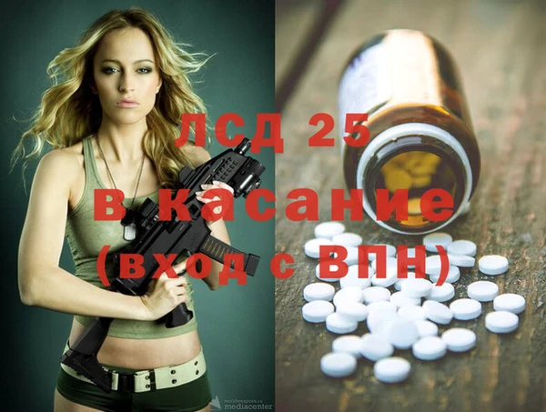 прущие грибы Абаза