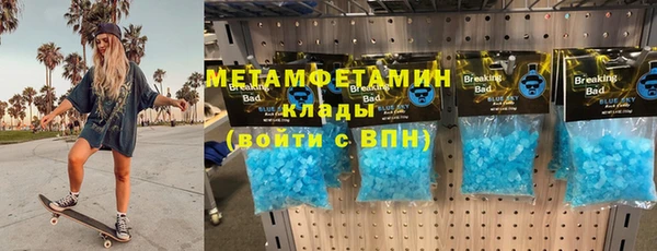 прущие грибы Абаза