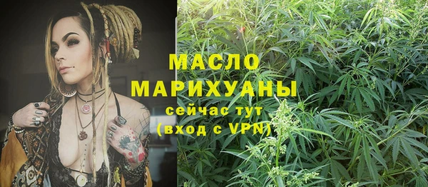 прущие грибы Абаза