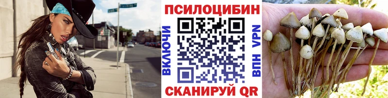 Псилоцибиновые грибы мицелий  закладки  Старый Крым 